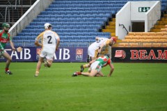 INTERMEDIATE HURLING COUNTY CHAMPIONS 2011 - I Bandon 2-14 Fr O'Neills 0-07