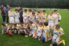 U12-U11s-Section-3-West-Cork-Hurling-Final-2